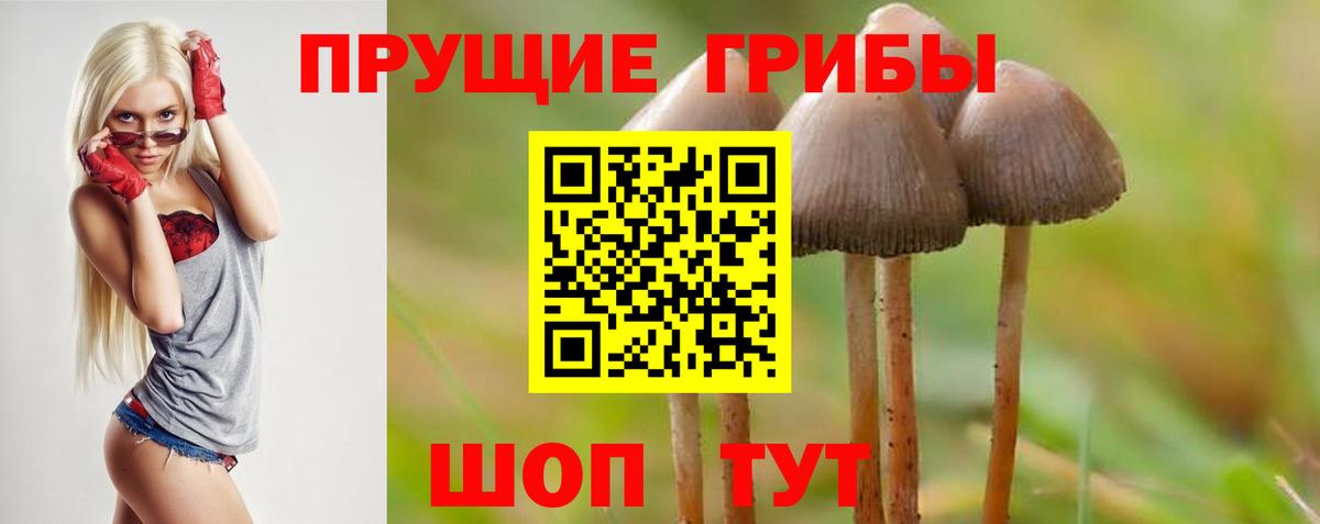 Белореченск  Галлюциногенные грибы ЛСД  Вход с VPN 